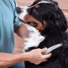 Инструмент за грижа за козината на домашни любимци - Knot Out Pet