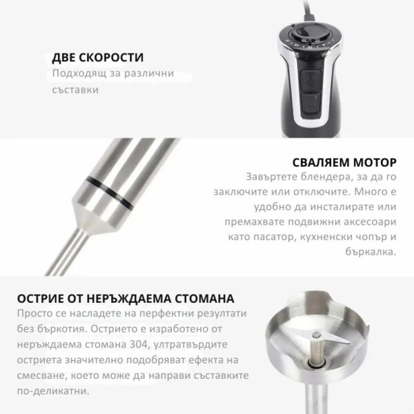 Ръчен пасатор Royalty Line RL-ESTM800, 800W с неръждаема стомана и регулатор на скоростта